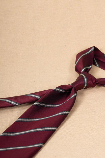 Products: LD-A22 Necktie / Stripes / Business / Wedding / Versatile