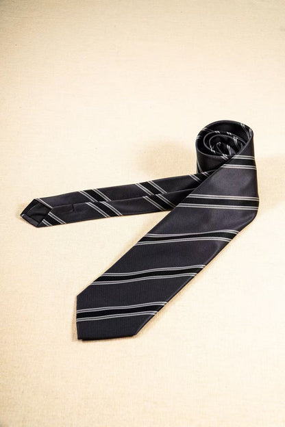 Products: LD-C021 Necktie / Stripes / Business / Wedding / Versatile
